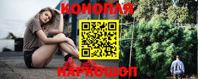 mdpv Краснознаменск